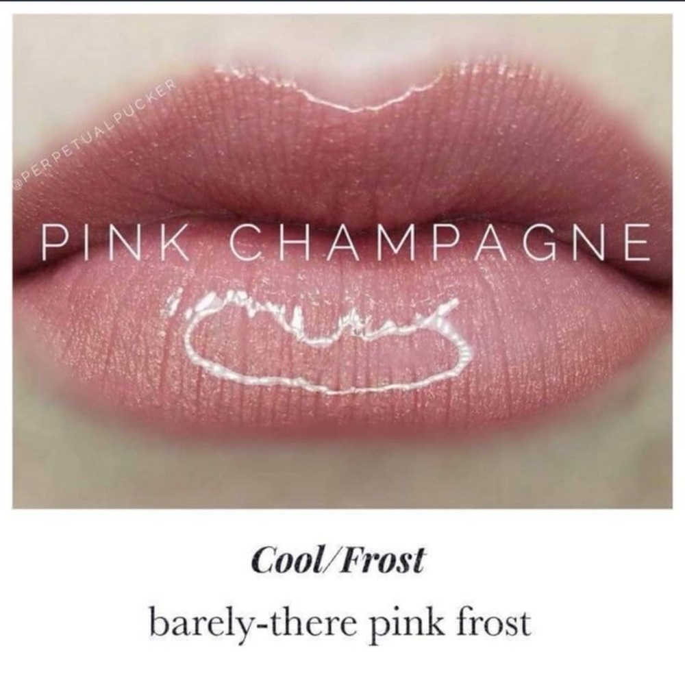 Lipsense by SeneGence long lasting lipstick 
Pink Champagne